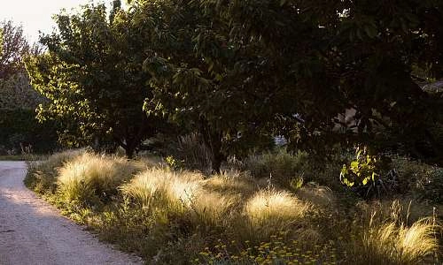 Parc paysager - Le Galinier