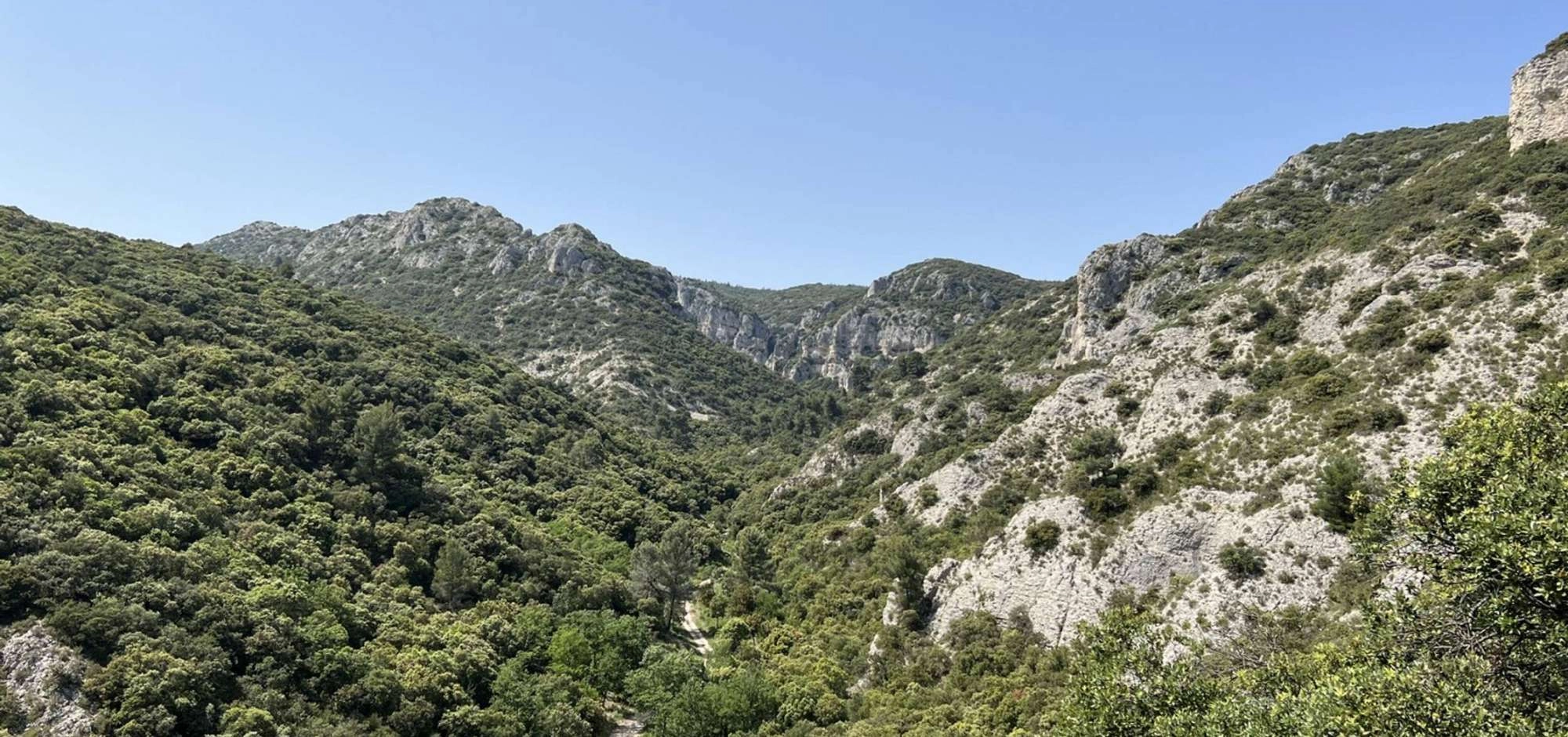Zugang zu den Luberon-Massiven im Sommer