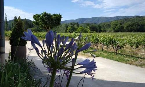Vue sur le Luberon