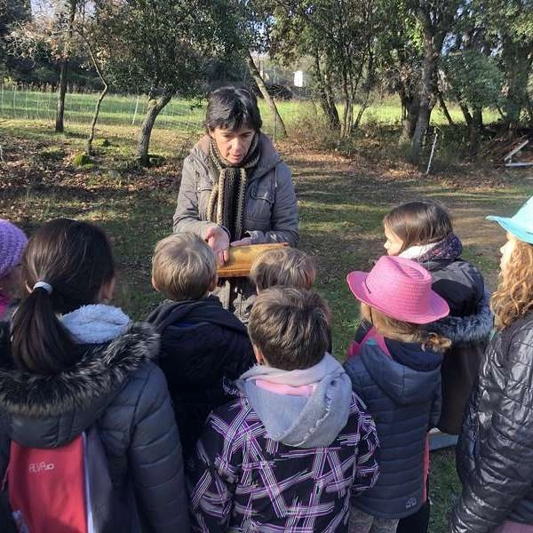 Besuch der Farm Ruchers des Messeguières