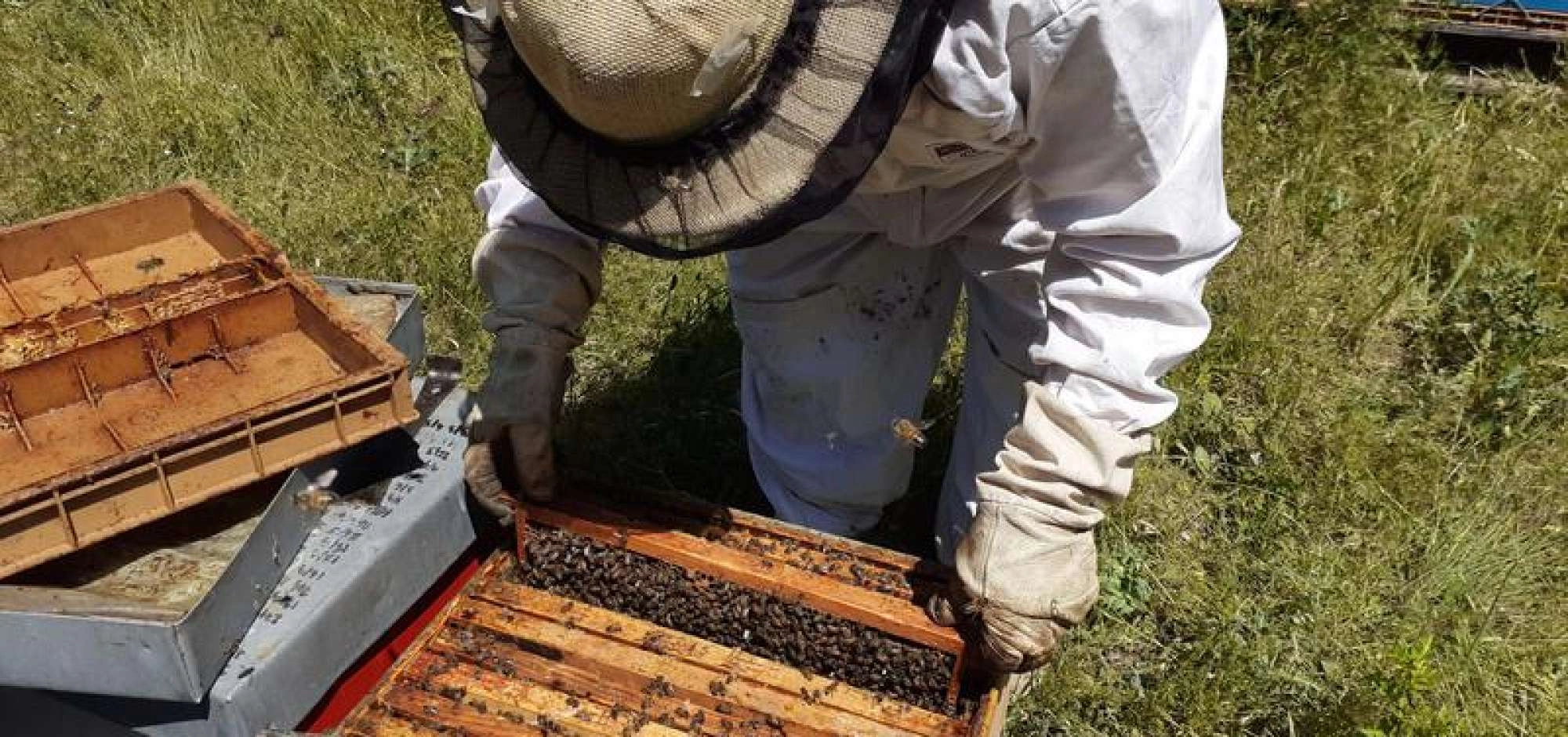 Besuch der Farm Ruchers des Messeguières