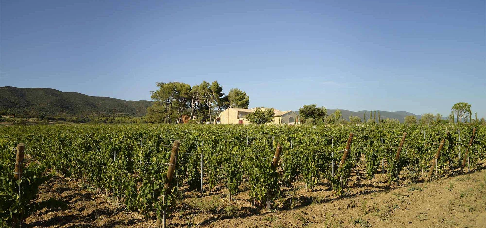 Domaine de MasLauris