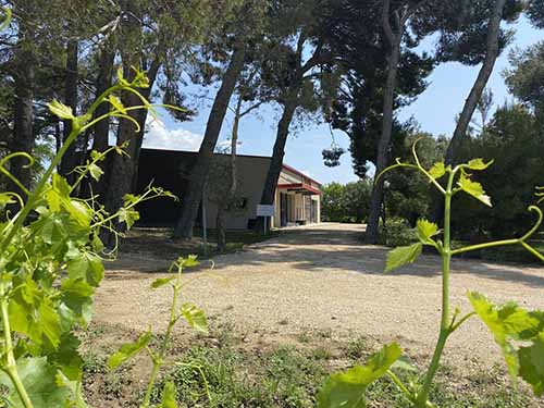 Weinprobe im Weingut MasLauris in Lauris im Luberon