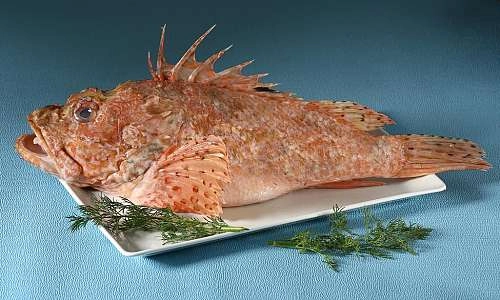 Relais des Saveurs_Cavaillon