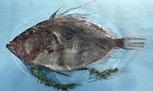 Relais des Saveurs_Cavaillon