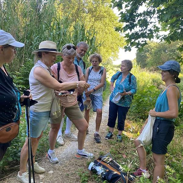 Entdecken Sie die Landschaften des Vaucluse in Lagnes