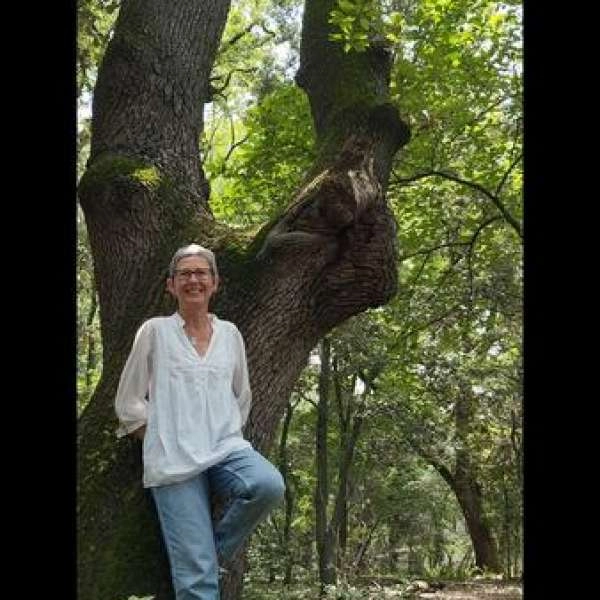 Sortie Shinrin Yoku ou Bain de Forêt - DE