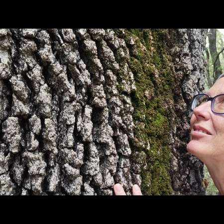 Shinrin Yoku: Waldbaden und Naturerlebnis