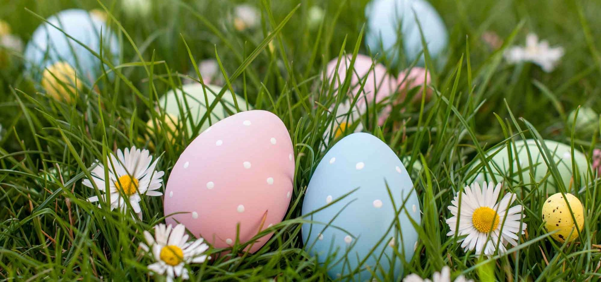 Was kann man zu Ostern im Luberon unternehmen ? 