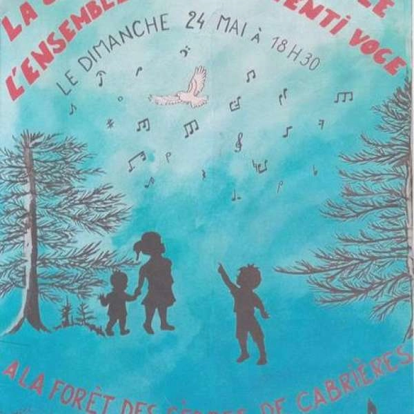 Chorkonzert im Zedernwald von Cabrières-d’Avignon