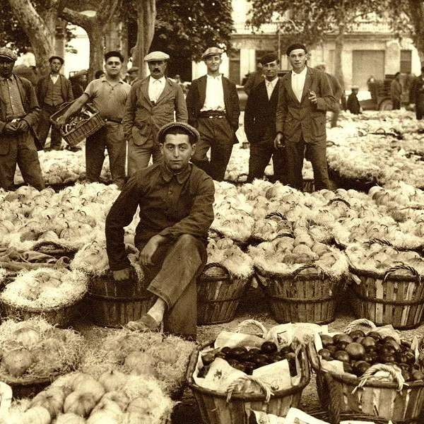 [AGRI]CULTURES: Flüstern der Felder, Spiegel der Stadt in Cavaillon