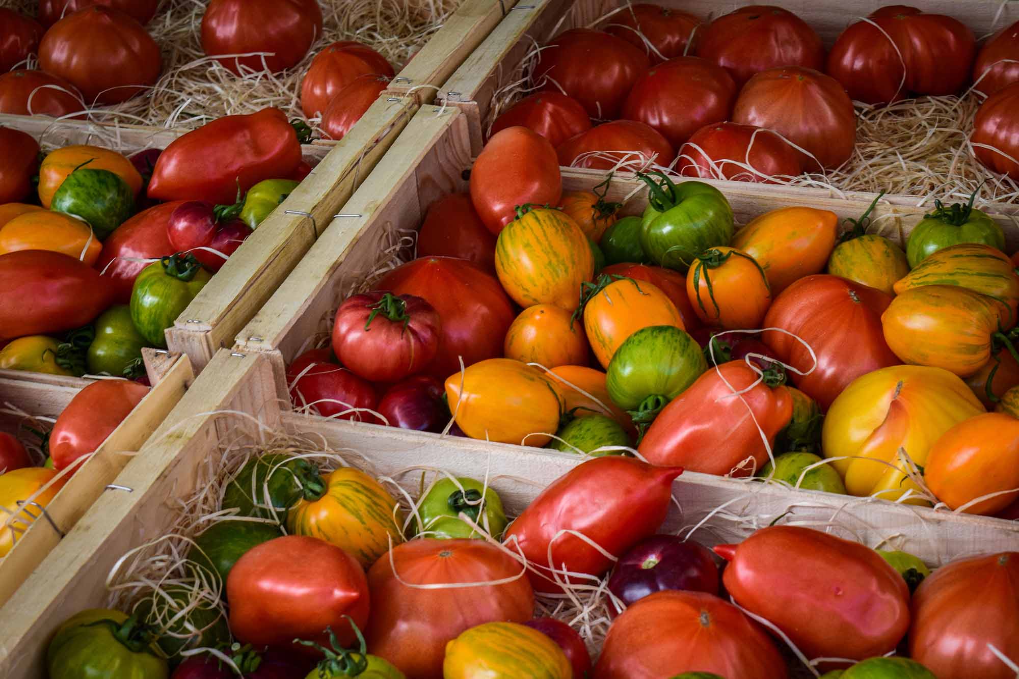 Mühle und Markt in Puyvert