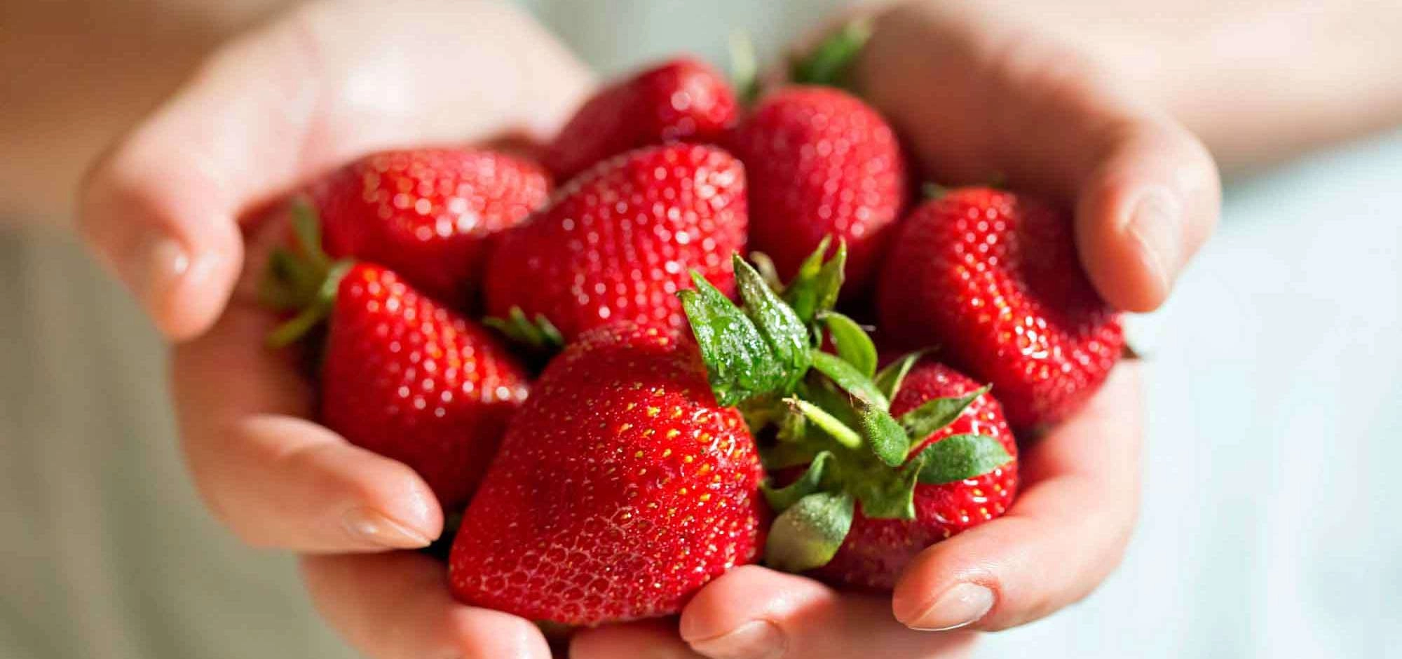 Frühlingshafte Köstlichkeiten: Erdbeeren auf dem Vormarsch! 