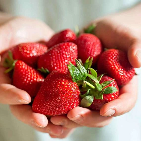 Frühlingshafte Köstlichkeiten: Erdbeeren auf dem Vormarsch! 