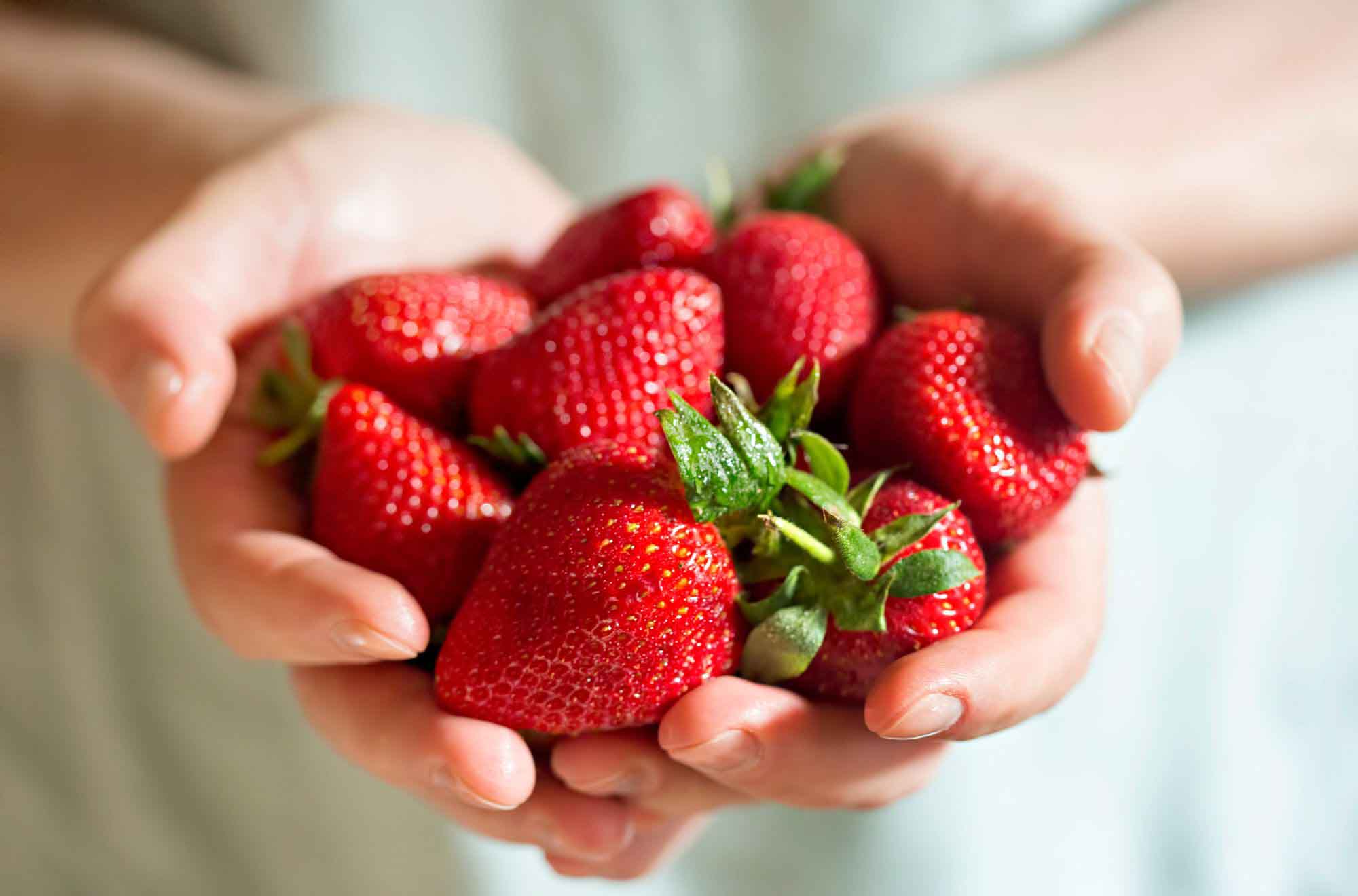 Frühlingsgenuss: Erdbeeren im Mittelpunkt der Marktstände