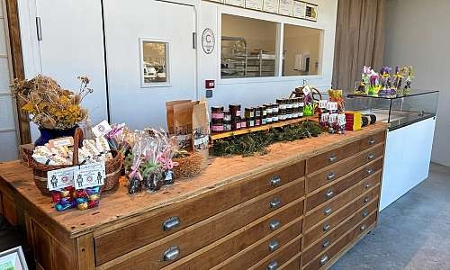 BIOMOMO HASHIMOTO_Maubec