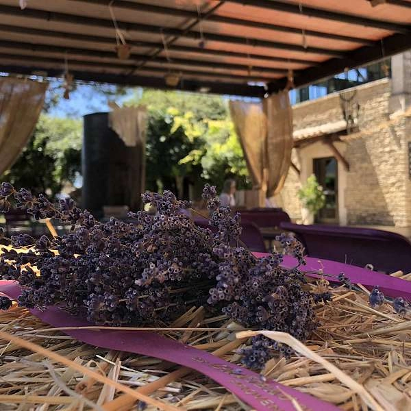 Peace, Love and Lavender im Lavendelmuseum