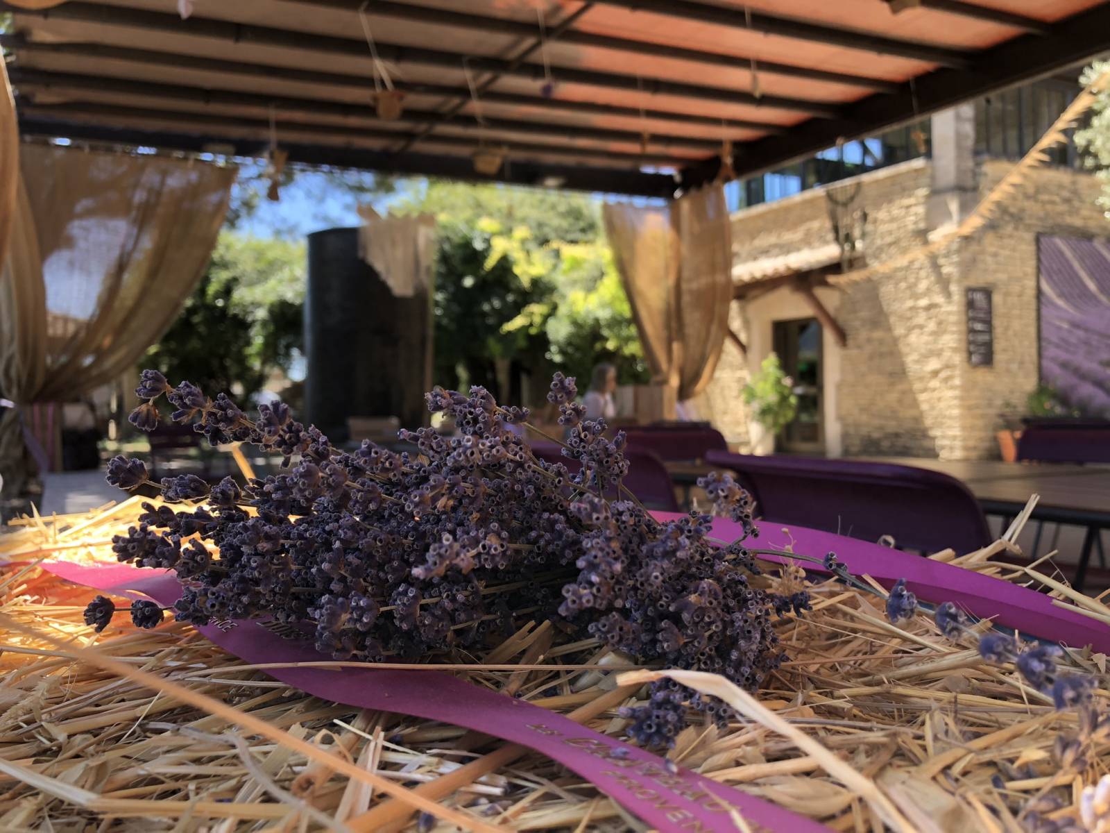Peace, Love and Lavender im Lavendelmuseum Luberon in Cabrières-d'Avignon