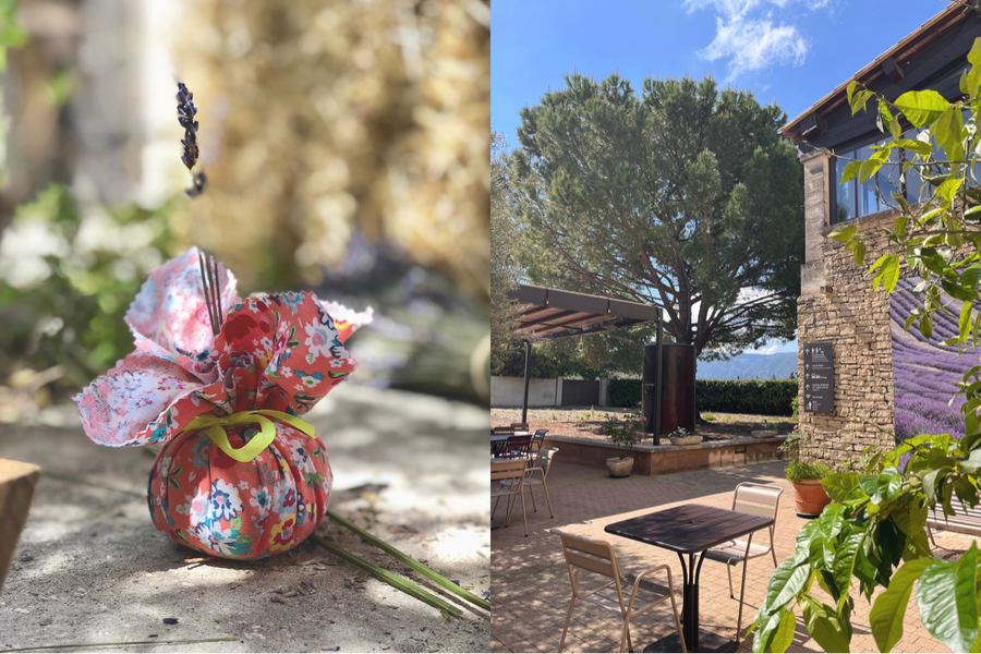 Lavendelfest im Lavendelmuseum Luberon in Cabrières-d'Avignon