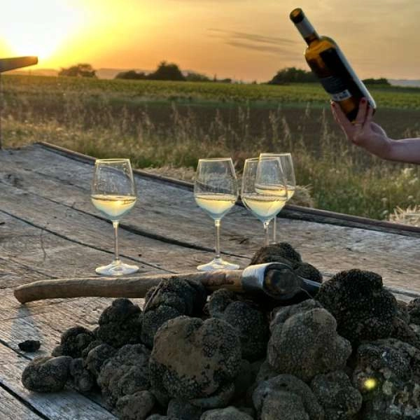 Soirée truffes & huile d’olive au cœur du Luberon au Moulin Bastide du Laval à Cadenet - DE