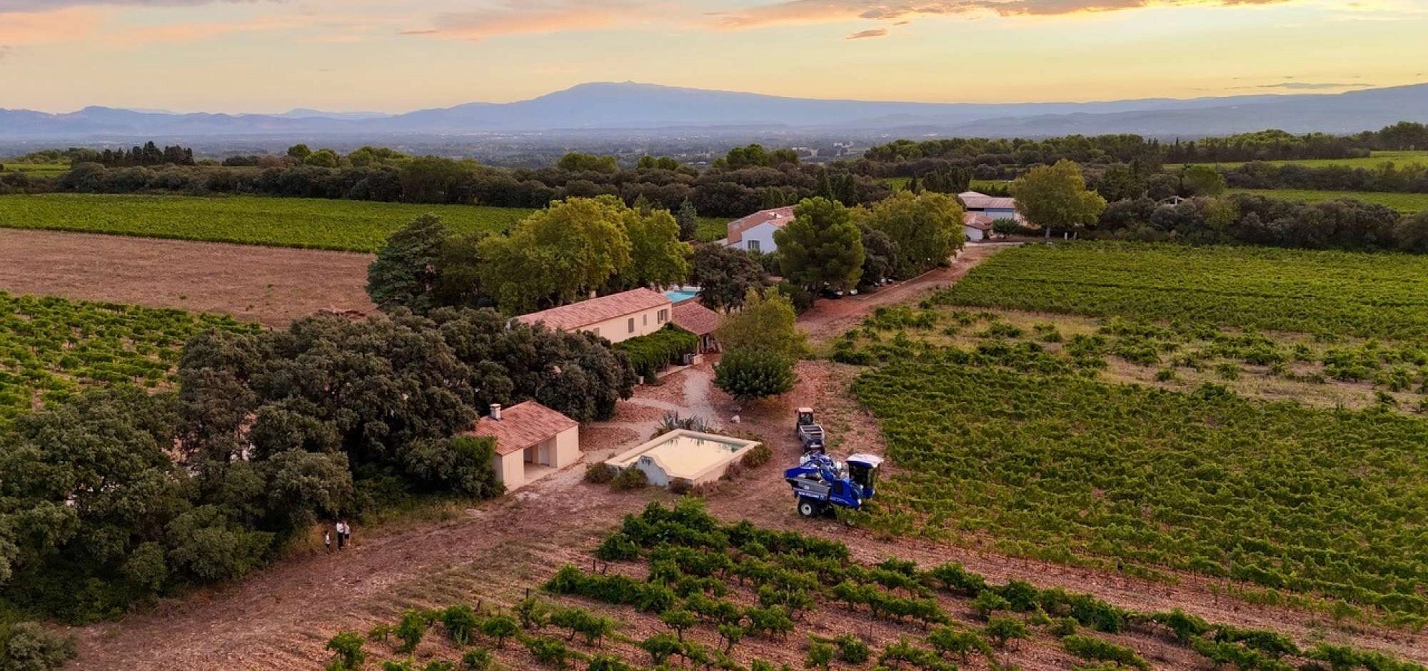 Sonnenuntergänge Vigneron 2026 im Clos des Saumans