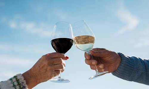 clos-des-saumanes-verres-vin.jpg