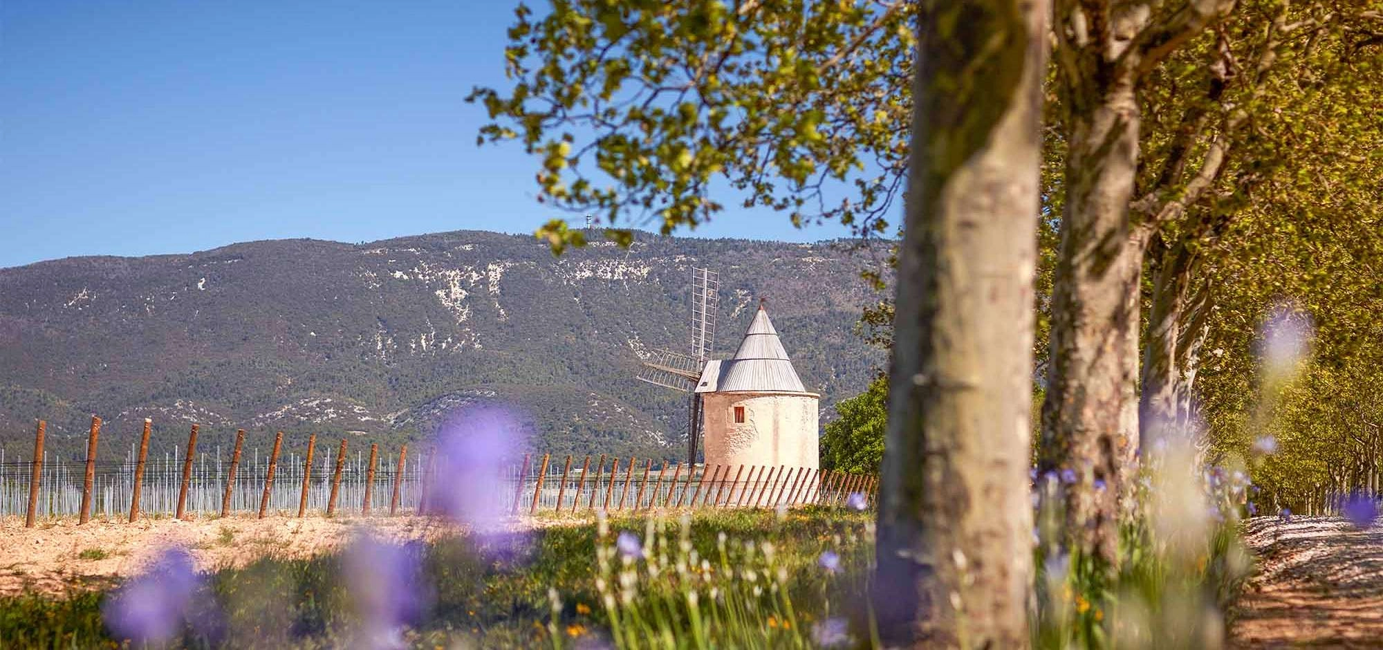 Sonnenuntergänge Vignerons 2026 im Château de Sannes