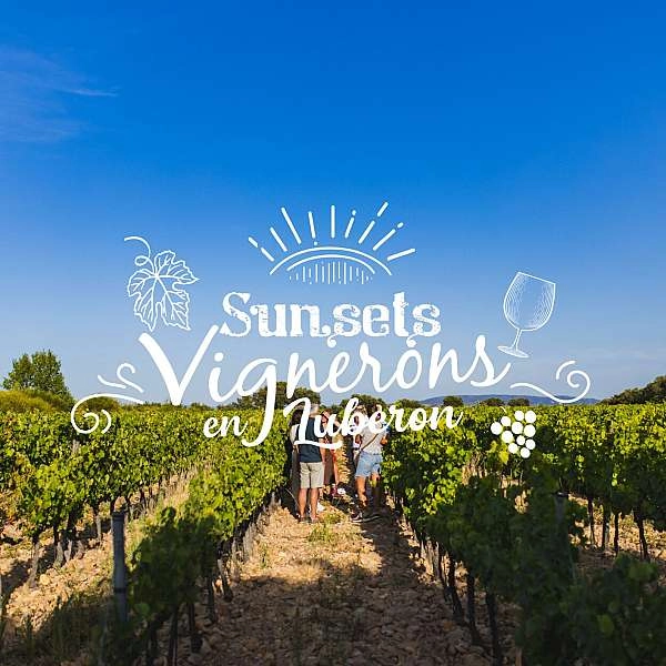 Sonnenuntergänge Vignerons 2026 auf der Domaine des Garriguettes