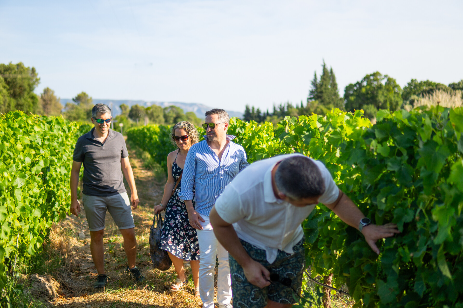 Weinverkostung bei Sunsets Vignerons Weinverkostung und Gourmet-Kombinationen währenddessen