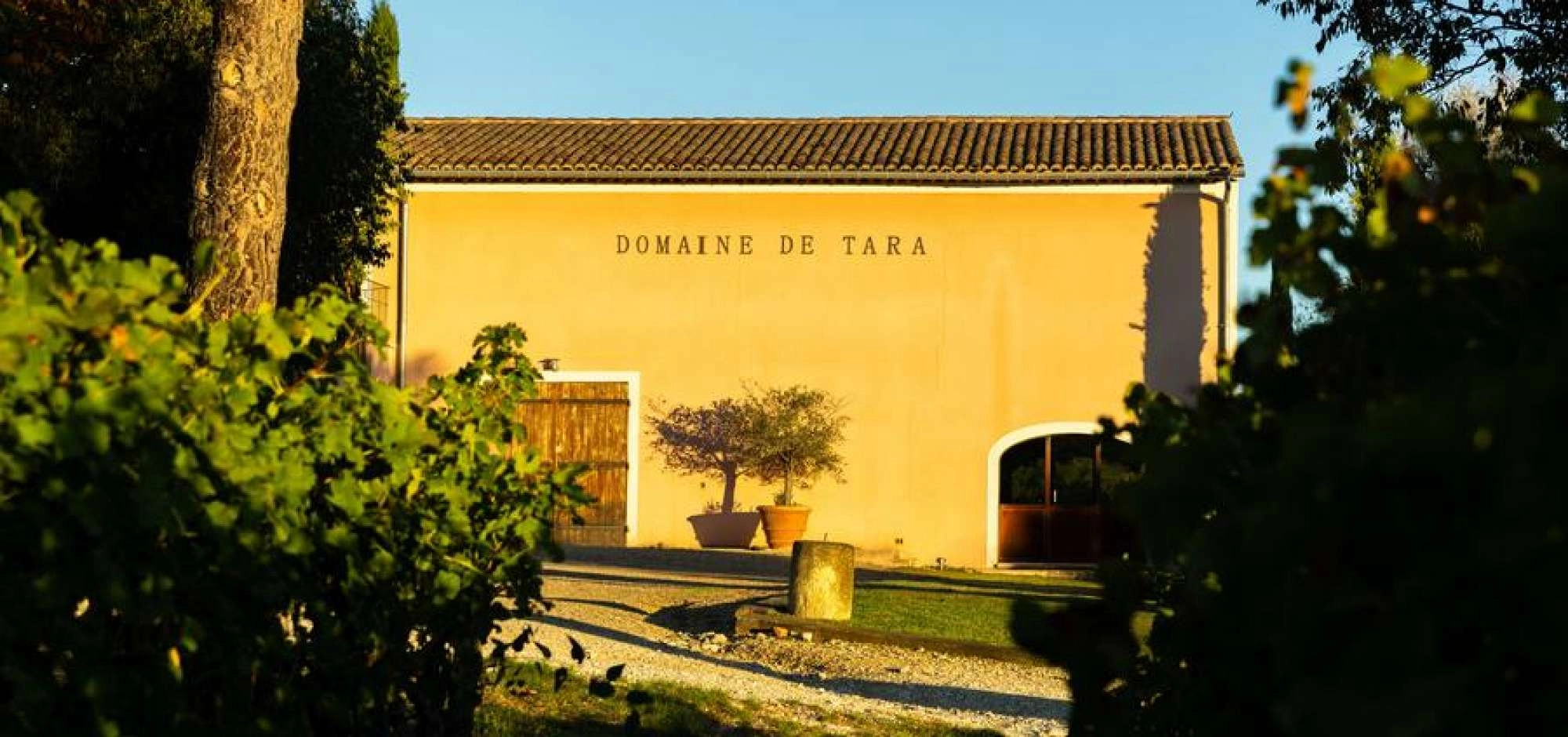 Sonnenuntergänge der Winzer 2026 auf der Domaine Tara