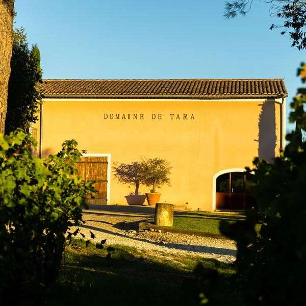 Sonnenuntergänge der Winzer 2026 auf der Domaine Tara
