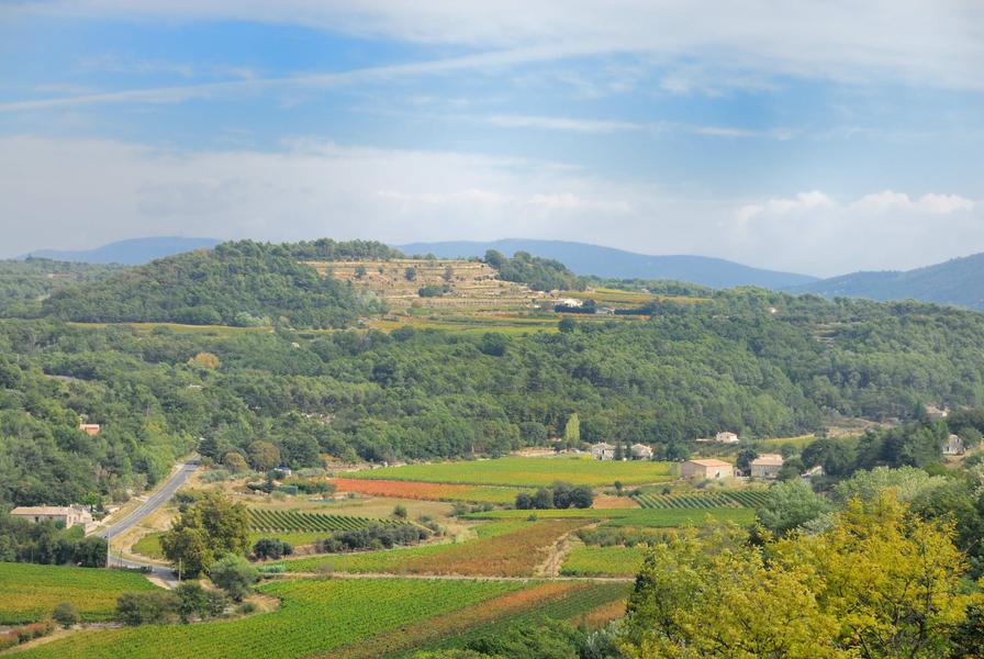 Sunsets-Vignerons-Abend auf dem Domaine des Cancélades in Ménerbes im Luberon