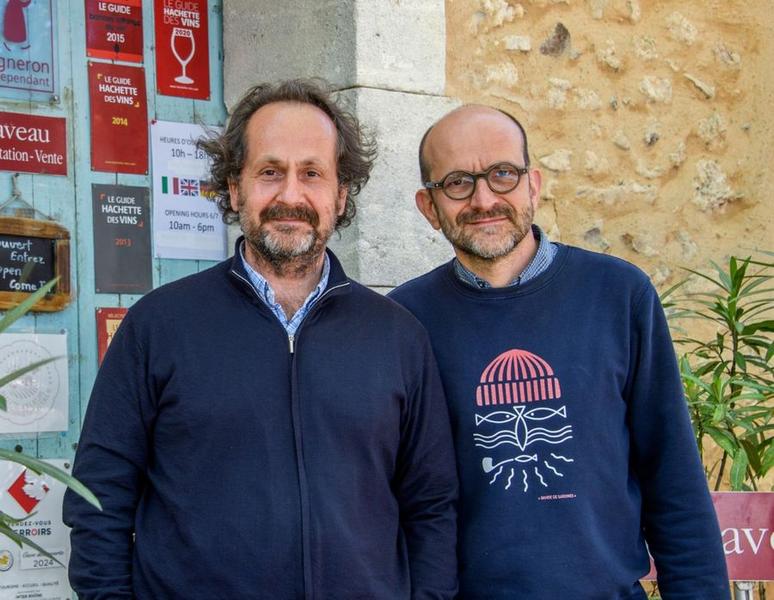 Weinreben von Domaine de Tara sur un coteau exposé à l