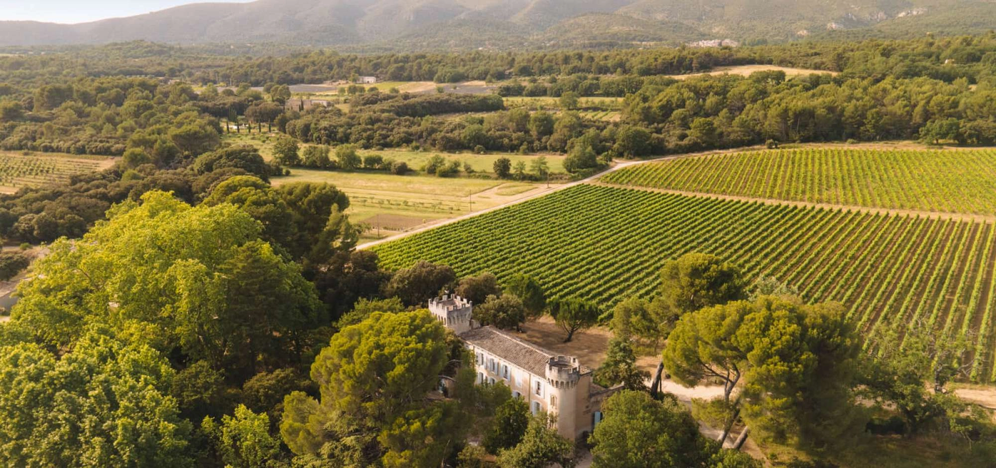 Sonnenuntergänge Vignerons 2026 im Château La Sable
