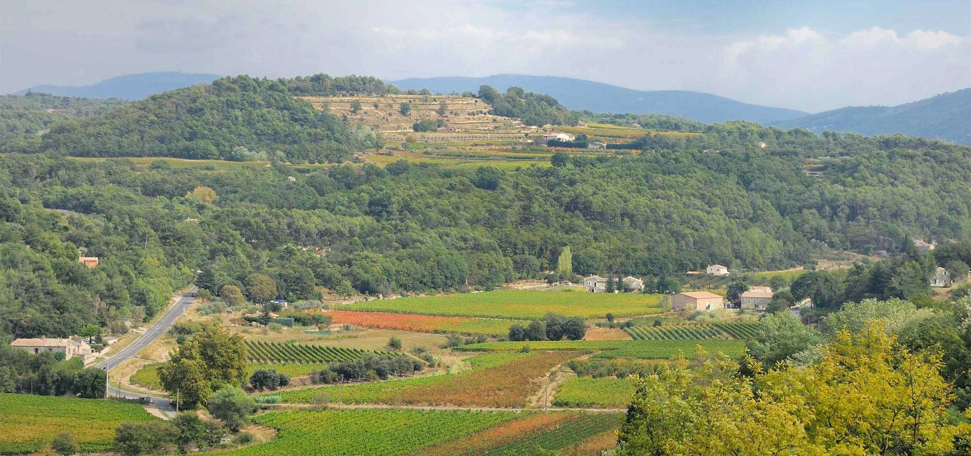 Sonnenuntergänge Vignerons 2026 auf der Domaine des Cancélades