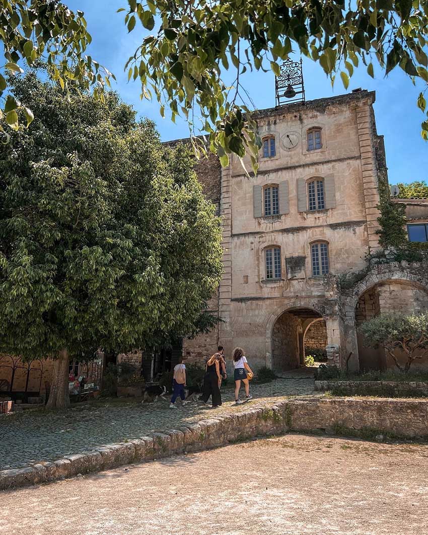 Programm der Sommerführungen im Luberon mit geführten Besichtigungen, Naturwanderungen und Abendführungen