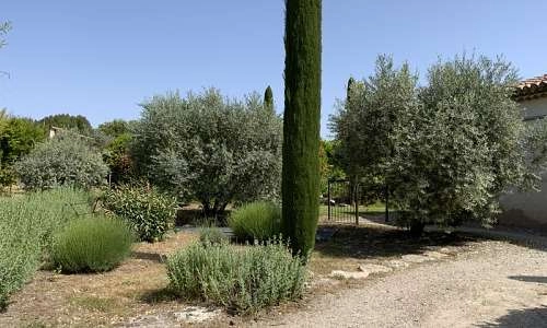Jardin