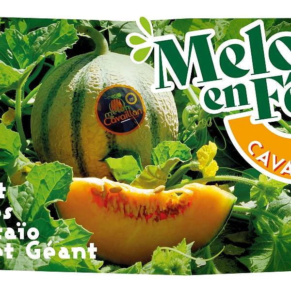 Melon en fête
