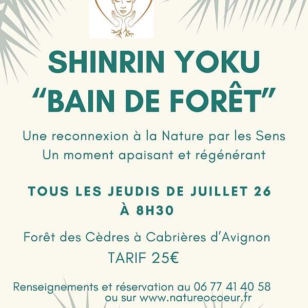 Shinrin Yoku-Ausflug oder Waldbaden
