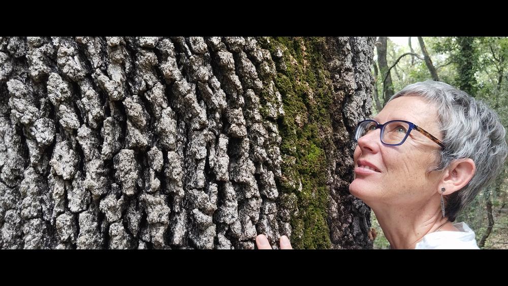 Waldbaden mit Christine, Naturheilkundlerin, in Verbindung mit den Bäumen im Luberon