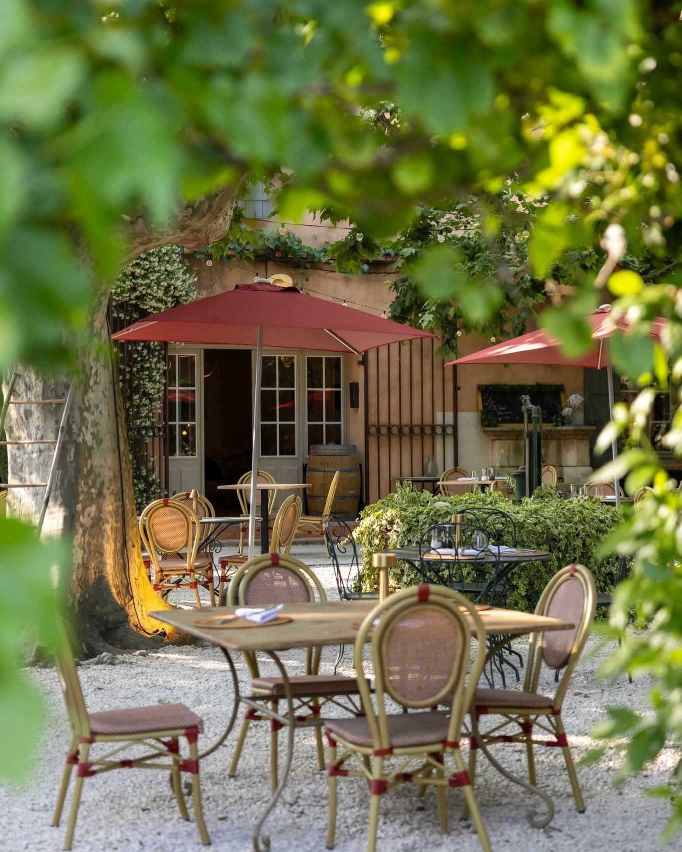 Terrasse des Restaurants Sous les Platanes auf der Domaine des Grès in Lagnes