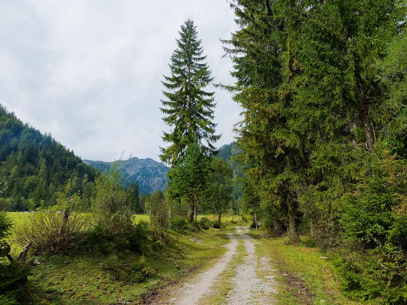 Bewirtschaftung des Mittelmeerwaldes in Mérindol Naturausflug zur Bewirtschaftung des Mittelmeerwaldes in Mérindol