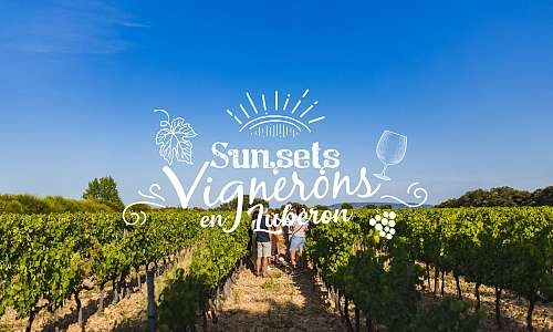Sunsets Vignerons au Domaine des Garriguettes_Châteauneuf-de-Gadagne