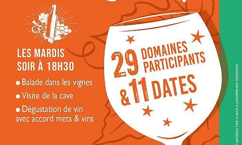 Les Sunsets Vignerons 2026 en Luberon au Château La Sable_Cucuron
