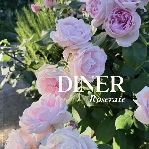 Dinner in der Roseraie der Domaine de Fontenille