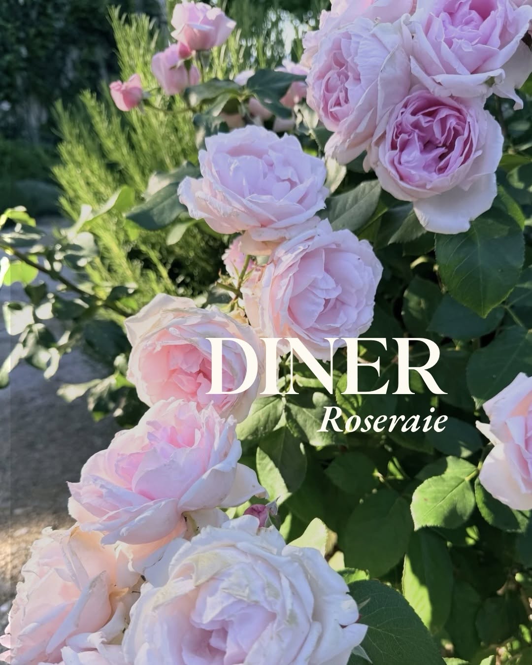 Abendessen im Freien in der Roseraie der Domaine de Fontenille
