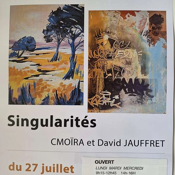 Singularités - DE