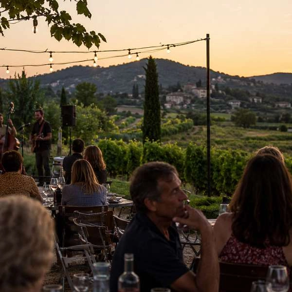Sommer in den Weinbergen: Erlebnisse im Luberon
