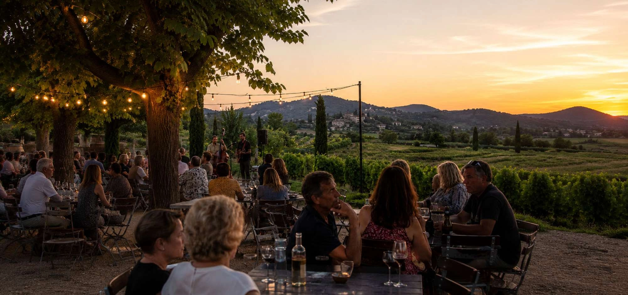Sommer in den Weinbergen: Erlebnisse im Luberon
