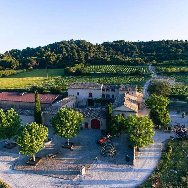 Vignobles en Scène : À la recherche de la bouteille perdue - DE